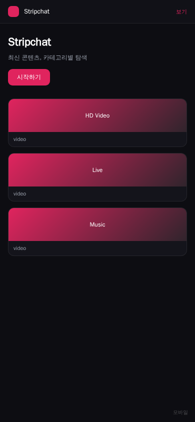 Stripchat 平台界面预览 - 移动端界面示意